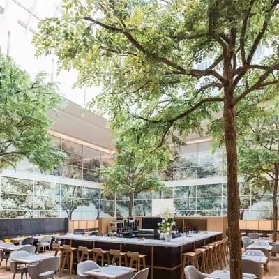 Artificial Ficus Plant Landscape Trees suppliers
