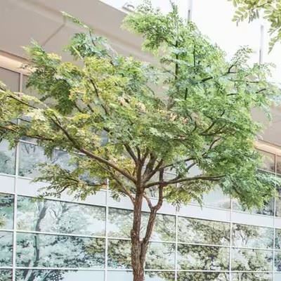 Artificial Ficus Plant Landscape Trees best