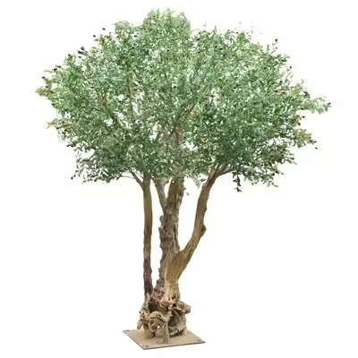 Replica Olive Tree best
