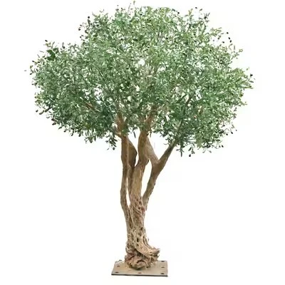 Replica Olive Tree suppliers
