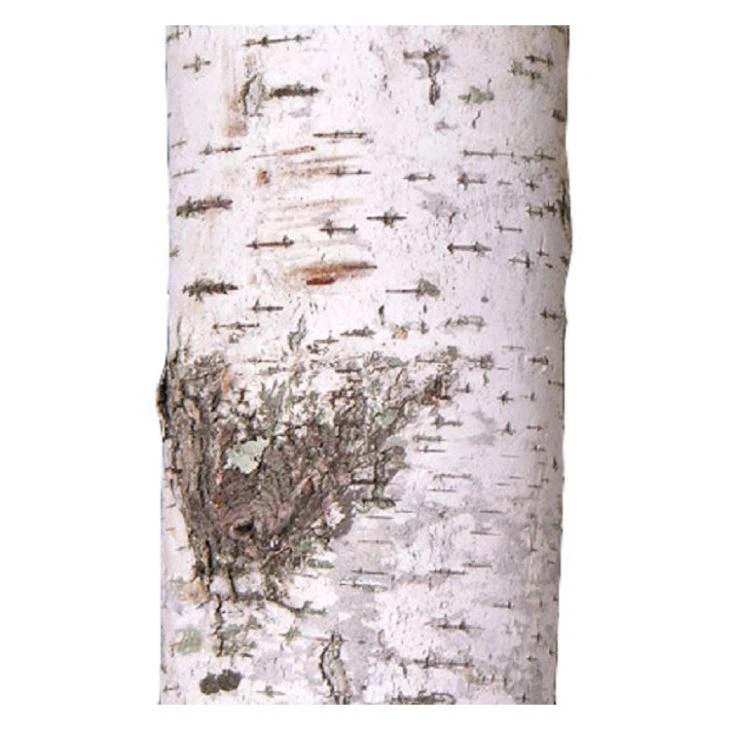 Artificial White Birch Tree