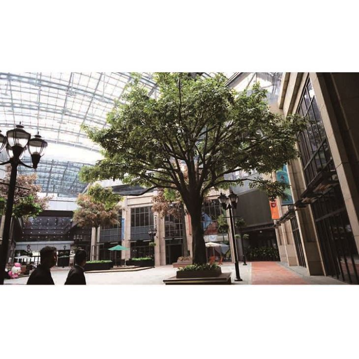 Best Artificial Ficus Tree