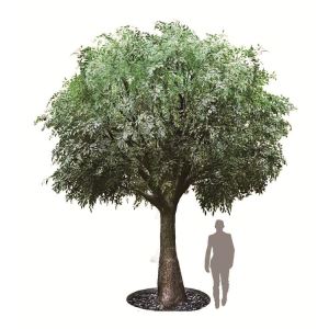 Faux Ficus Benjamin daraxti