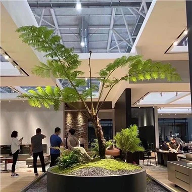 Sun'iy Cyathea Cooperi